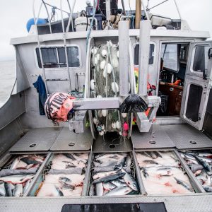 Bristol bay commercial fishing boat Stock Photos - Page 1 : Masterfile
