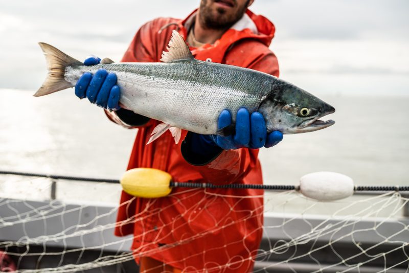 Bri Dwyer_Fisherman Portrait_4