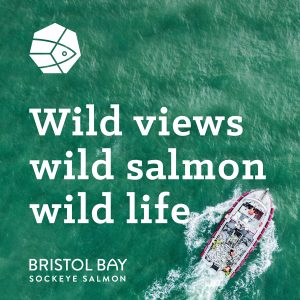 A birds-eye view of greenish ocean water and a boat full of salmon in the lower right corner with the text "Wild views wild salmon wild life" overlaid.