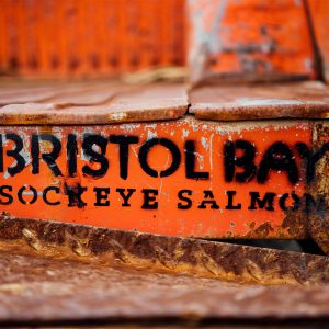 A rusted back end of a truck with a spray painted stencil of the Bristol Bay Sockeye Salmon logo.