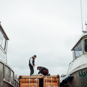 Two fishermen checking a net while standing on a shipping container between two boats in a boatyard.