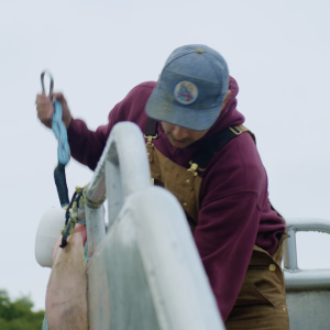 Fisherman working on a boat wearing a maroon hoodie and blue cap.